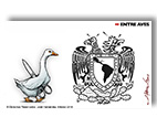 Entre aves